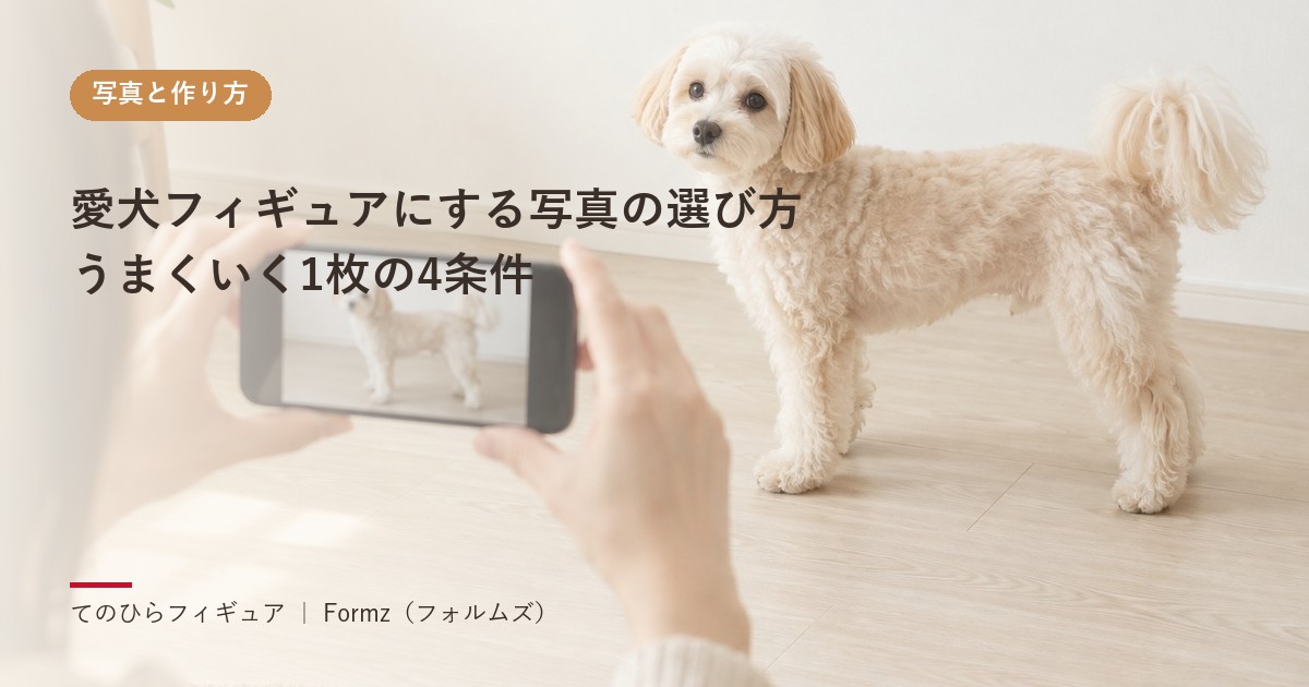 愛犬フィギュアにする写真の選び方　うまくいく1枚の4条件
