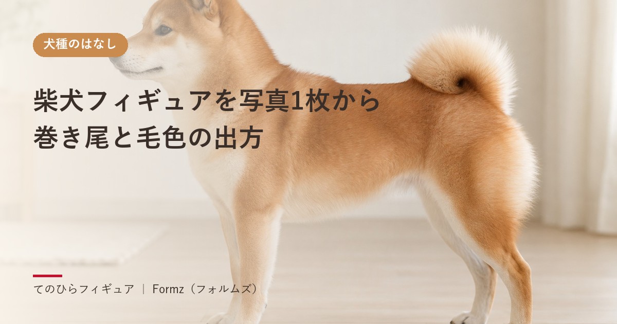 柴犬フィギュアを写真1枚から　巻き尾と毛色の出方